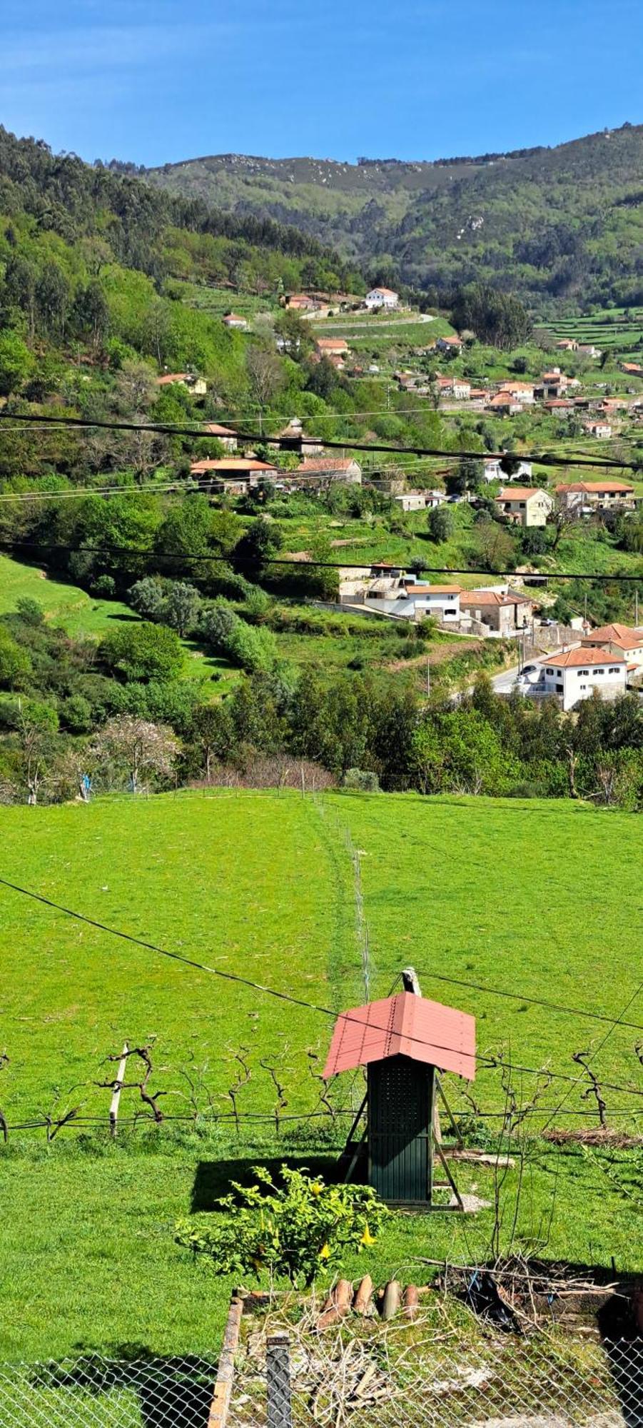 Refugio Dos Cartolas São Mamede de Infesta Eksteriør bilde